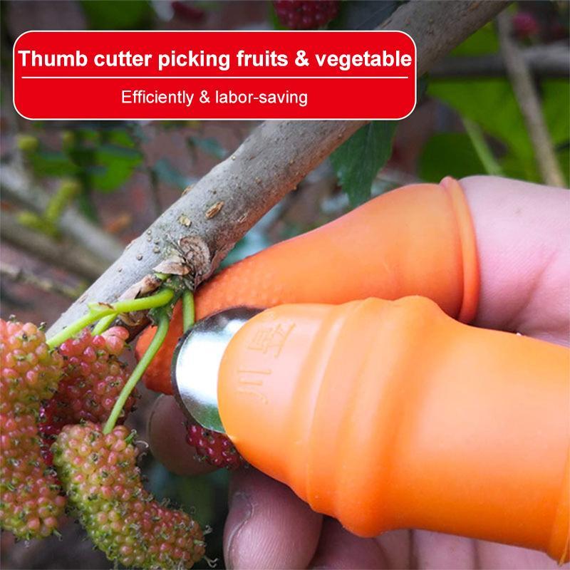 (50% Off Today) Harvest vegetables, harvest fruits thumb measure