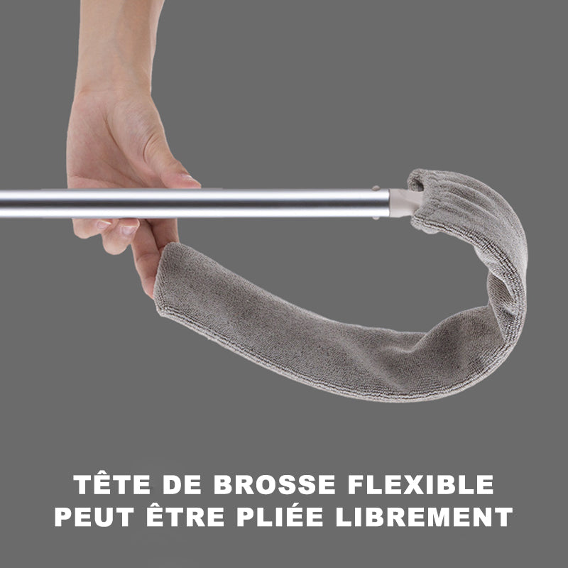 Dust broom with long handle