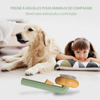 Pumpkin Comb Brush for Pets