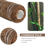 Coconut moss stick for climbing plants – Natural climbing aid for houseplants and garden