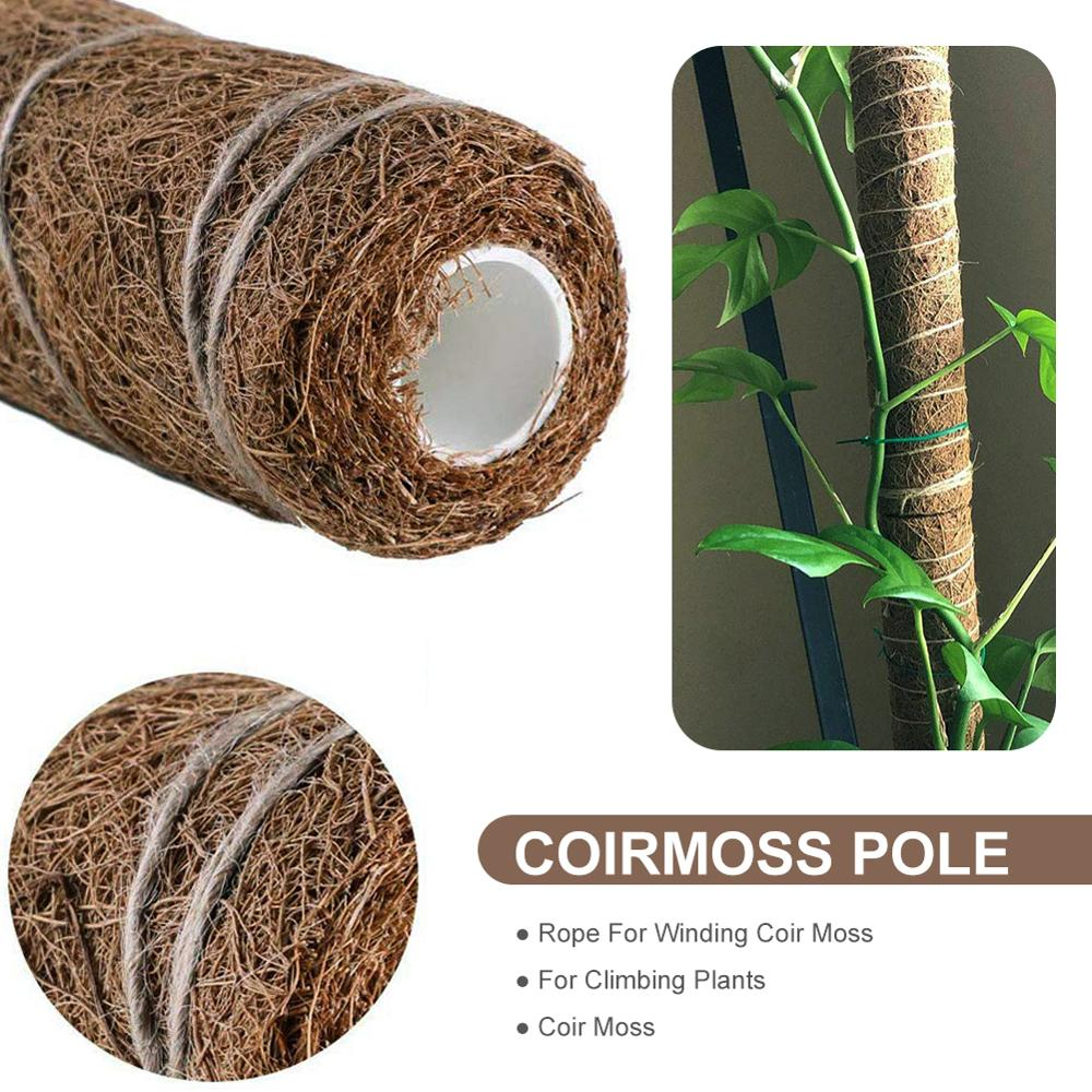 Coconut moss stick for climbing plants – Natural climbing aid for houseplants and garden