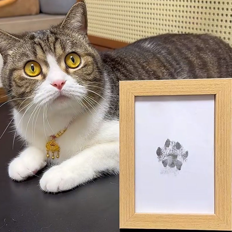 Animal Paw Print Set
