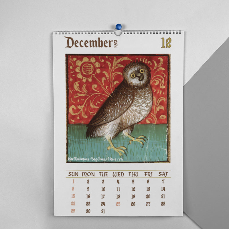 Strange medieval owl calendar 2024
