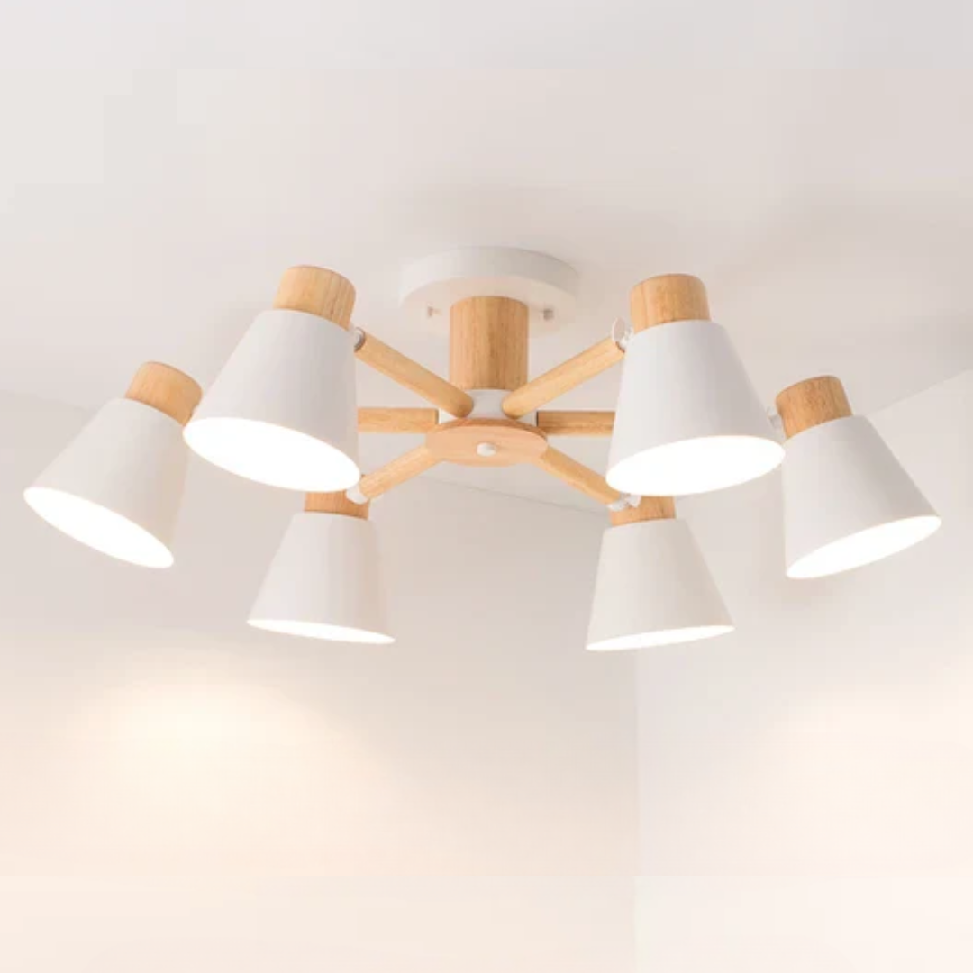 LED Ceiling Lamp