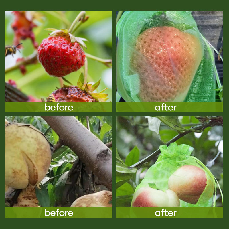 Fruit Protection Bag (100 PCS)