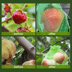 Fruit Protection Bag (100 PCS)