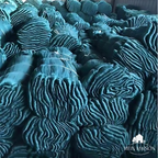 AgriNet Pro Garden Net UV-resistant Tearproof Versatile Plant Protection Custom sizes Available