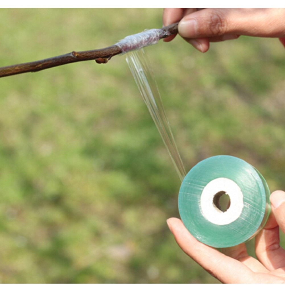 Grafting tape for plants – Self-adhesive grafting tape for tree pruning and grafting