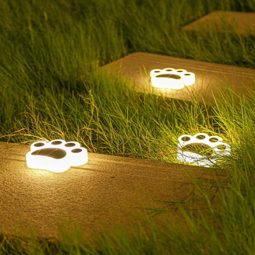 Solar Outdoor Lamp