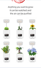 Multifunctional smart hydroponic plant pot with calendar, diffuser and desk lamp