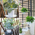 Hanging Window Flower Basket