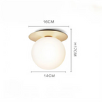 Luxury LED Ceiling Lamp & Wall Lamp