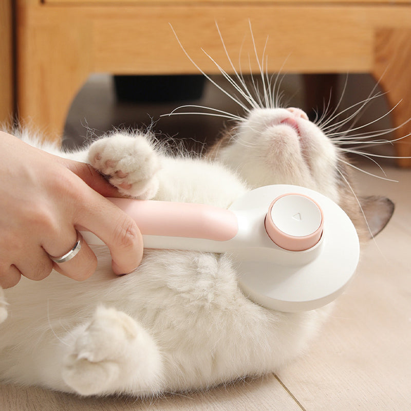 Self-cleaning slicker brushes for pets