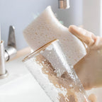 Coconut Fiber Natural Dish Sponge