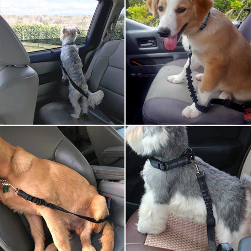 Adjustable Safety Belts for Dogs