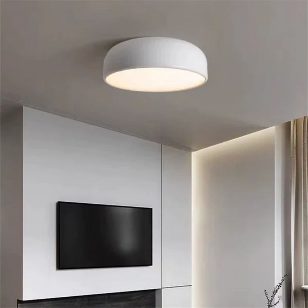 Stylish Ceiling Lamp for Living Room