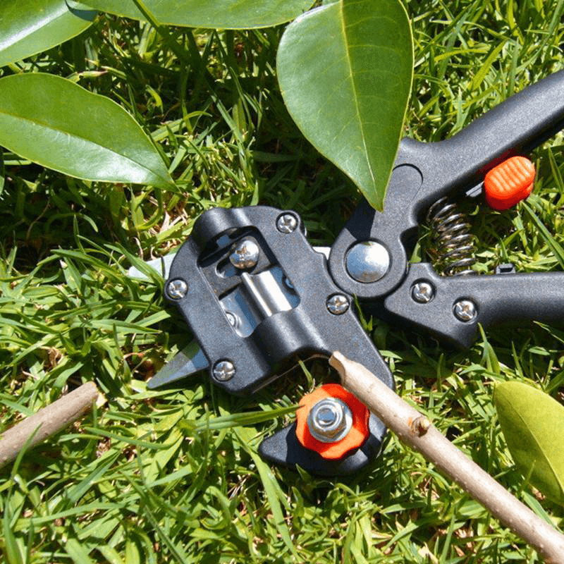 Professional Garden Grafting Tool Set