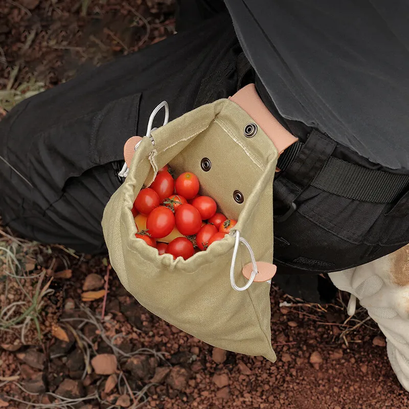 Foldable Canvas Bag