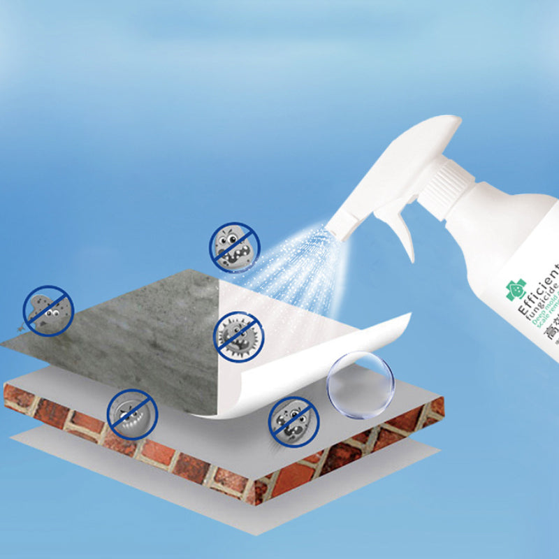 High-Efficiency Mold Remover