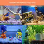 Beautiful decoration for diving aquariums