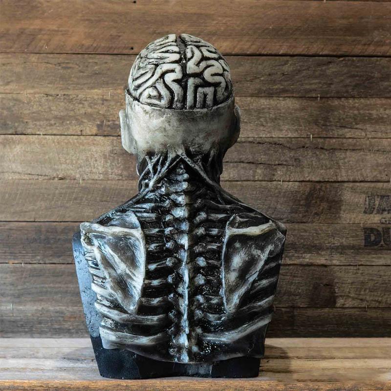 Terrible Skeleton Bioman