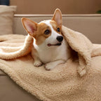 FLOOPIE - Premium Pet Fleece Blanket