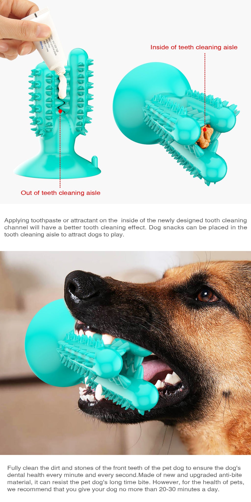 Cactus‑Shaped Dog Toothbrush / For Dogs