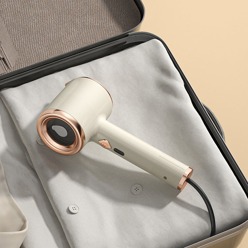 Portable Mini Iron