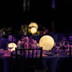 Selene Moon Garden Light