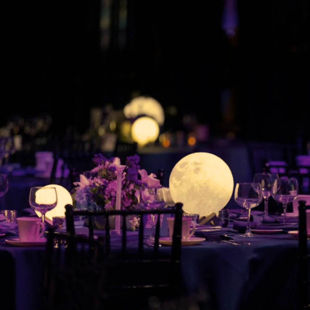 Selene Moon Garden Light
