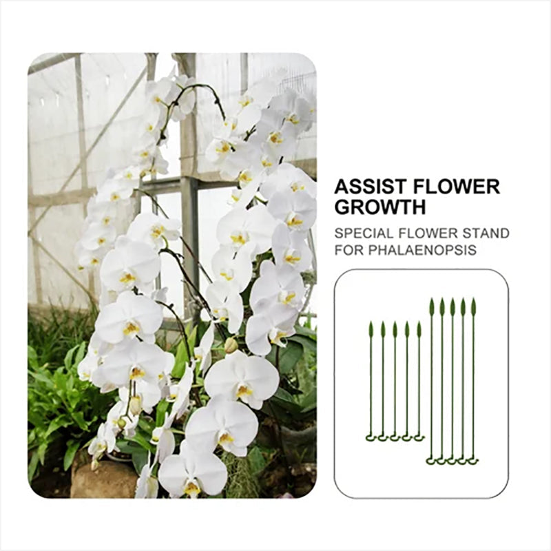 Plant Supports Stake