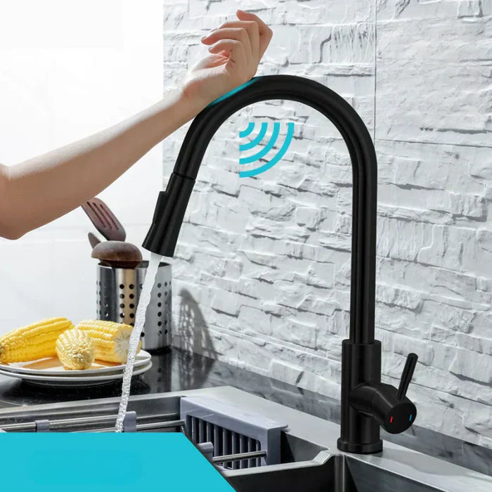Sensor kitchen faucet