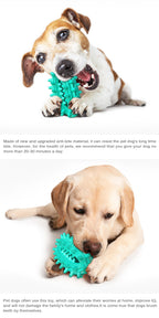 Cactus Chew Ball / For Dogs