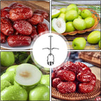 Fruit Corer