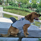 Dog Swim Safety Jacket