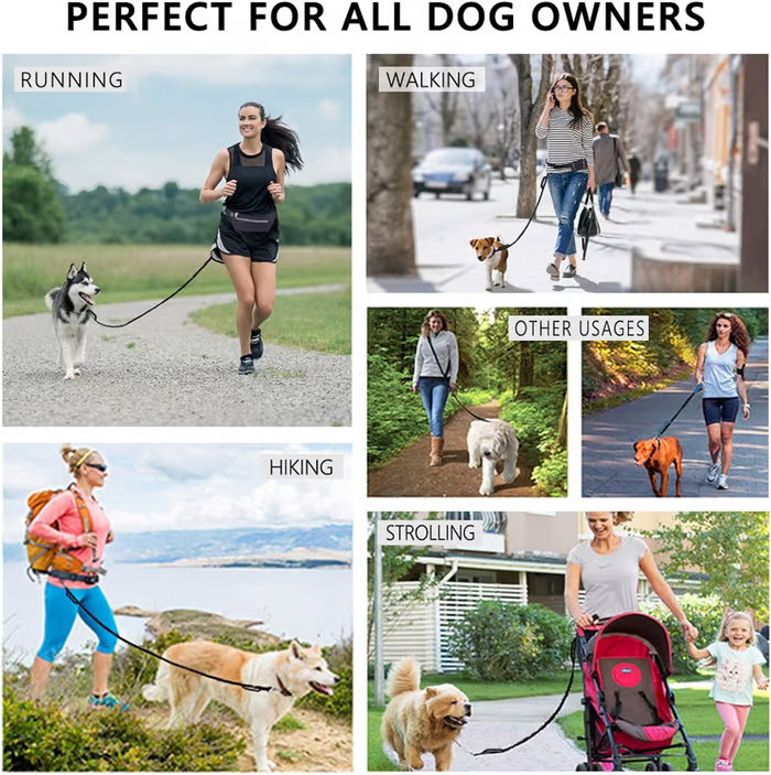 PawsFree Pro – Enjoy stress-free walks with your dog