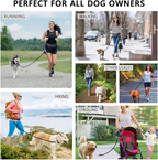 PawsFree Pro – Enjoy stress-free walks with your dog