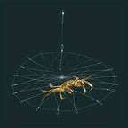 Automatic Opening & Closing Fishing Net Cage