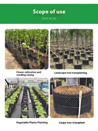 Root control device for plants and landscaping to promote healthy growth