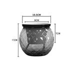 Self-Watering Succulent Plant Pot with Fish Tank