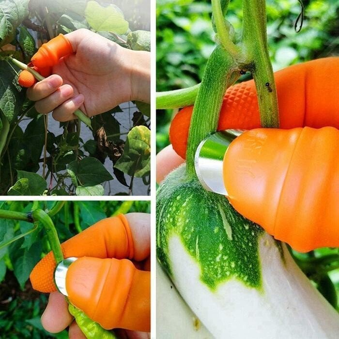 JardinZen | Awaken your gardening serenity