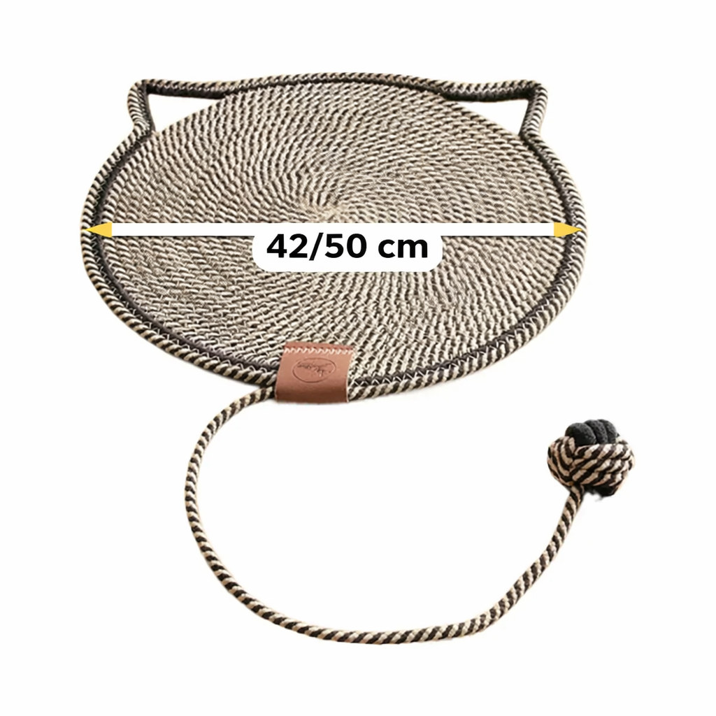 2-in-1 Cat Scratching Carpet & Play Mat