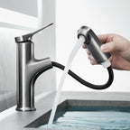 Contemporary Bath Faucet Brass Lever Handle Pull-Out Sink Faucet