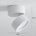 LED Ceiling Light with Adjustable Spotlight Head