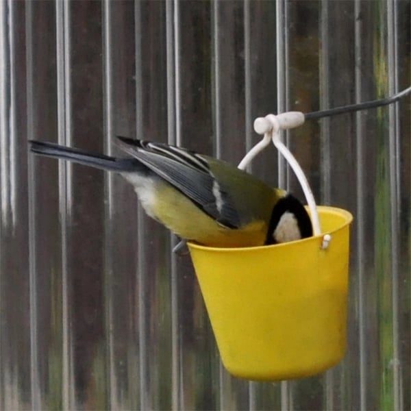 FeederMagic Whimsical Bird Entertainment
