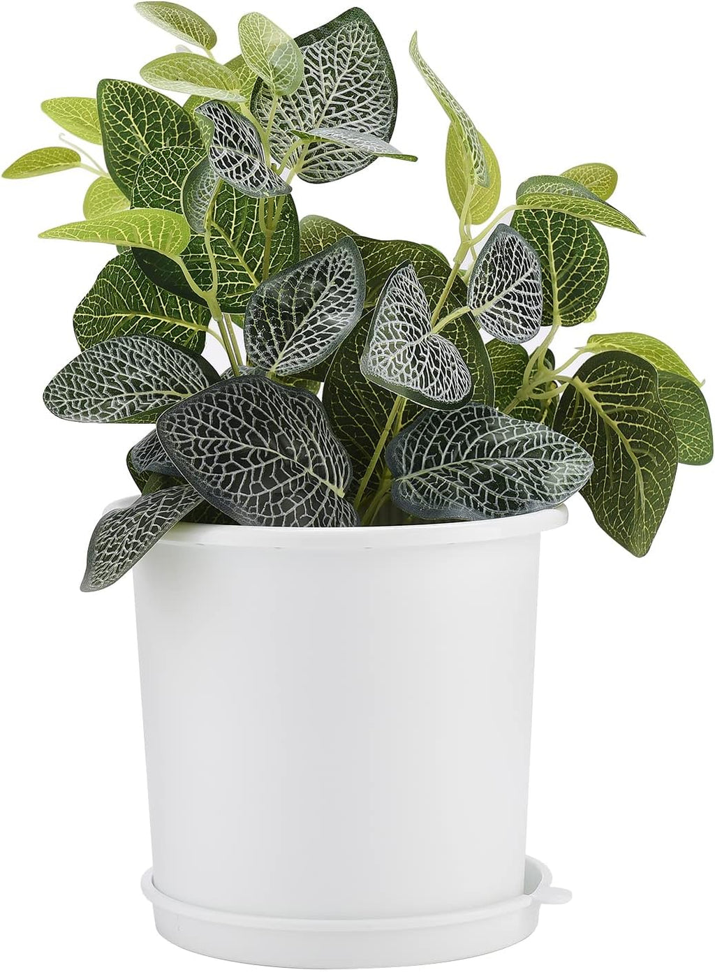 Breathable Root Control Pot for Plants – Ideal for Healthy Growth and Optimal Aeration