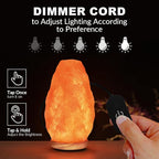 Himalayan Salt Lamp