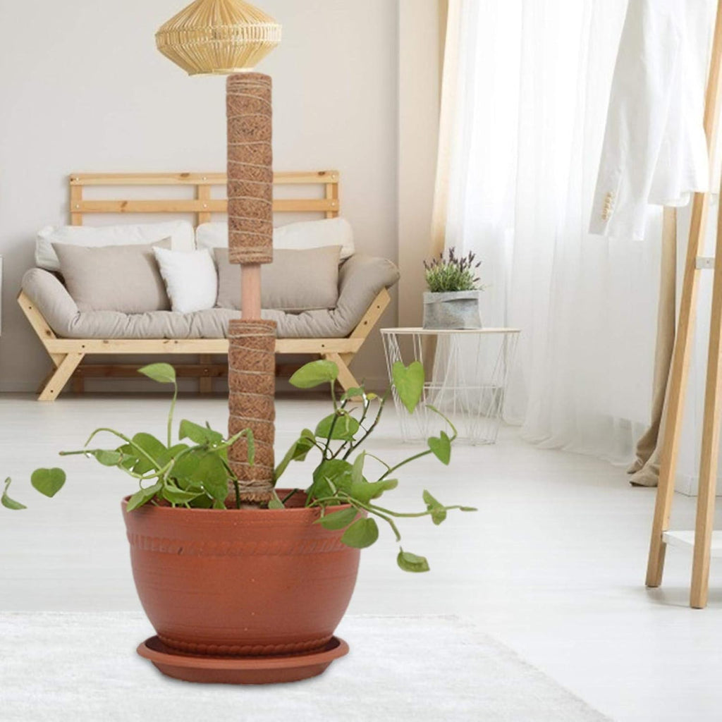 Coconut moss stick for climbing plants – Natural climbing aid for houseplants and garden