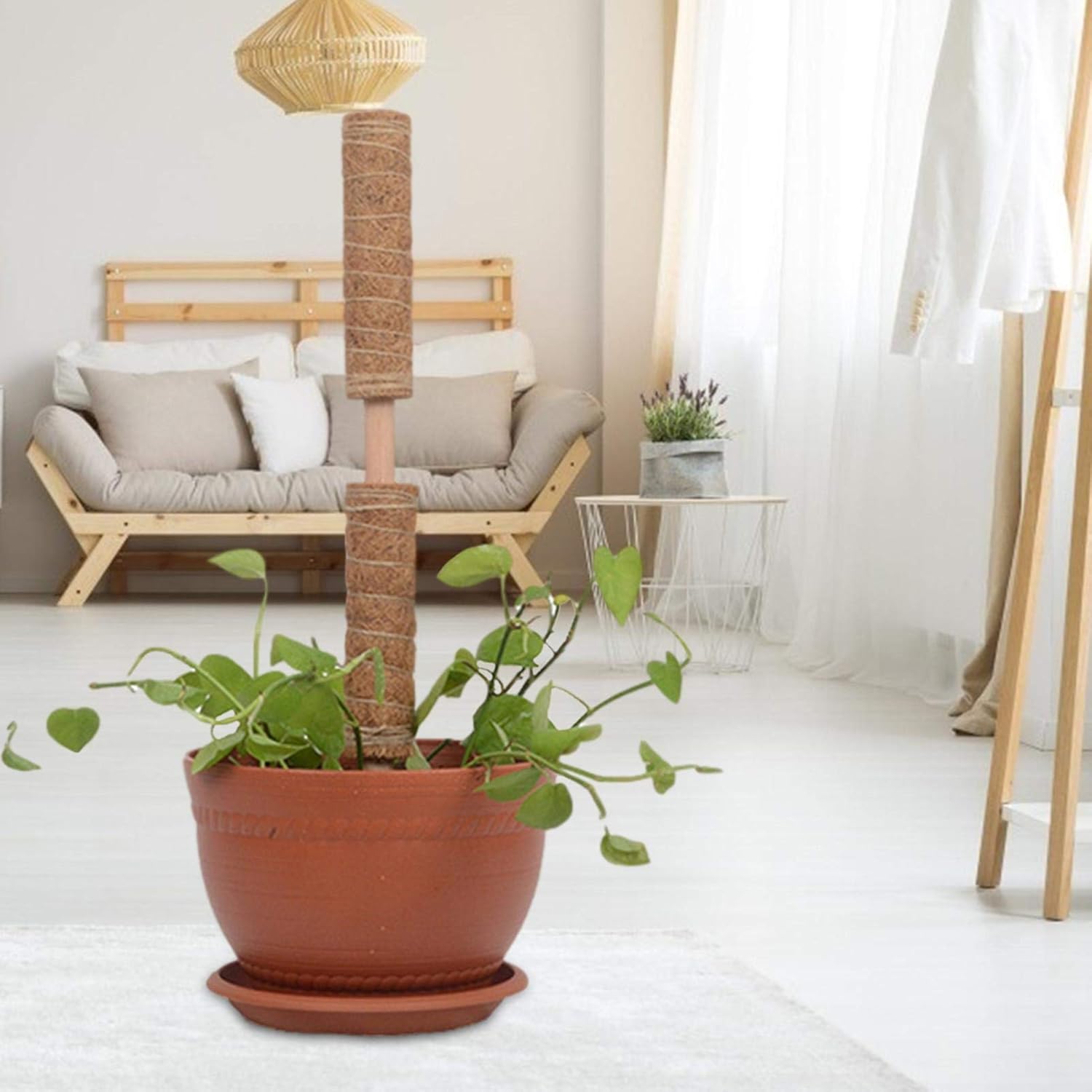 Coconut moss stick for climbing plants – Natural climbing aid for houseplants and garden