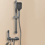 Wall-mounted shower system Gray Adjustable spray pattern Lever handle Shower hose Shower set